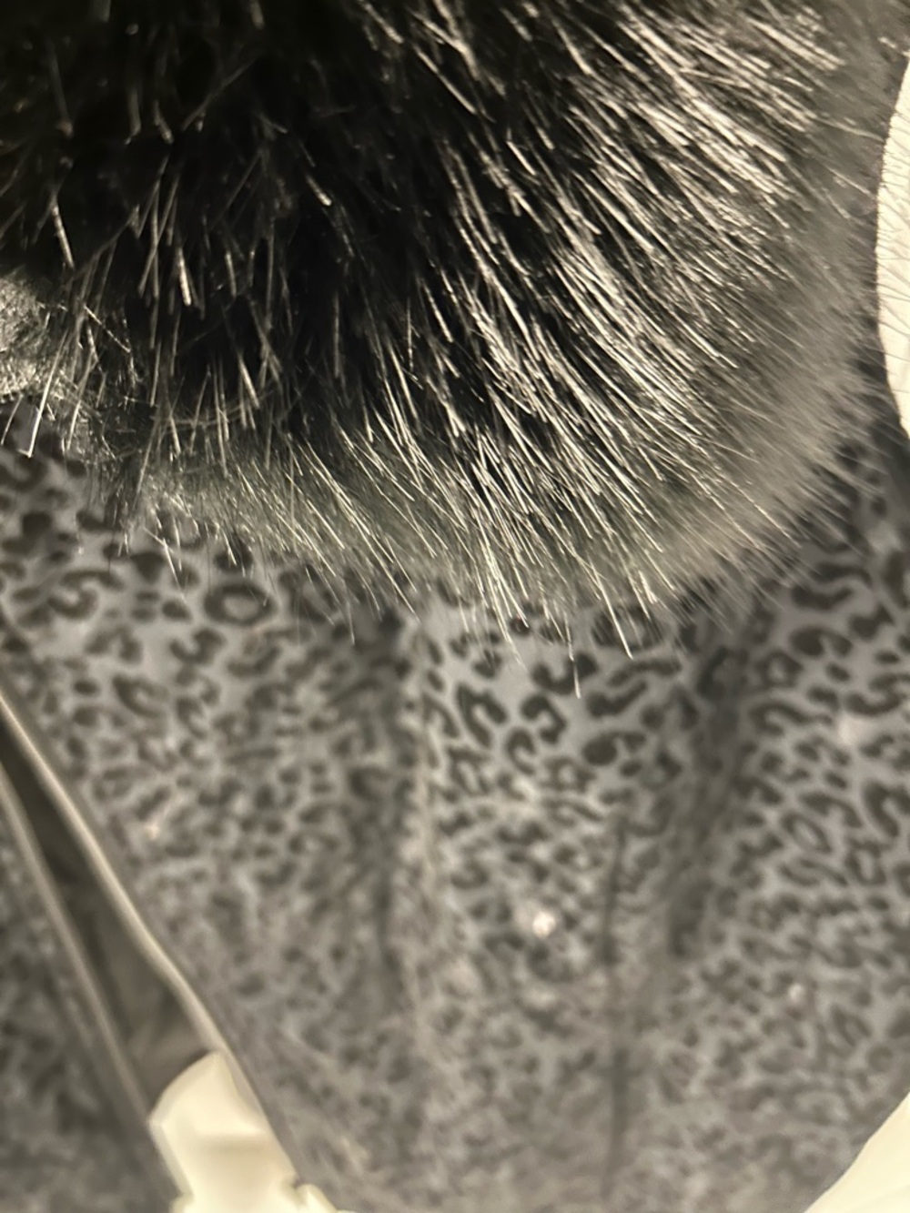 Multiples Black Faux Fur Trim Leopard Print Vest
